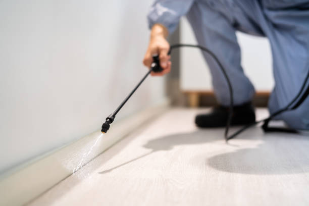 Bed Bug Pre-Treatment Preparation Assessment in Skagway