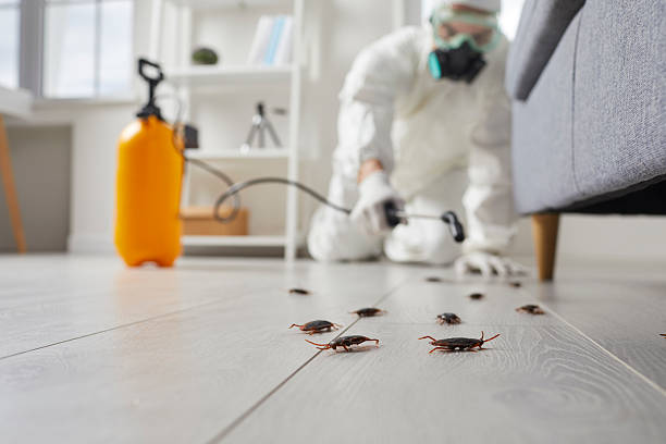 Post-Treatment Bed Bug Interceptor Monitoring in Skagway