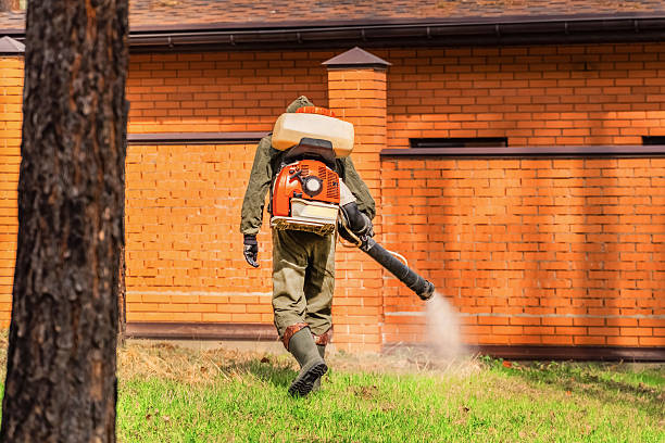 Bed Bug Clearance Verification and Documentation in Skagway